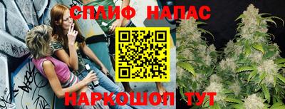 гашик Кулебаки